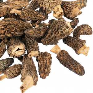 Morillas morchella  SECO