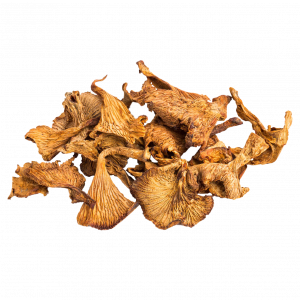 Chantarelle SECO