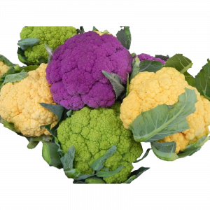Coliflor de colores Pieza