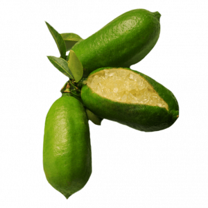 Limón caviar Kg