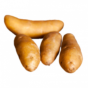 Papa finger Kg