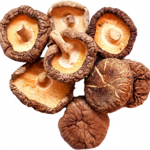 Shitake /SECO