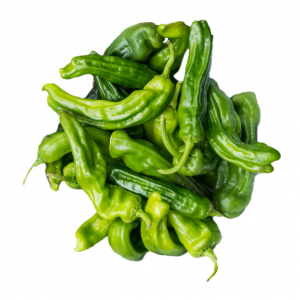Chile Shishito Kg