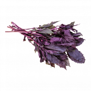 Albahaca morada