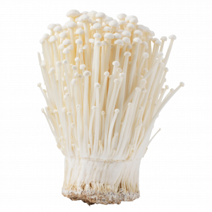 Enoki Paquete
