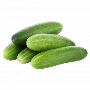 Pepino persa