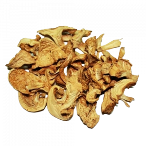 Porcini SECO