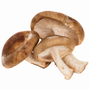 Shitake / FRESCO Kg