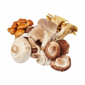 Hongos mixtos FRESCOS