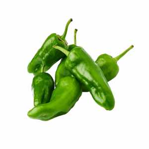 Pimiento padrón